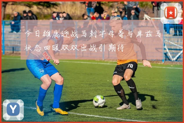 今日雄鹿迎战马刺字母哥与库兹马状态回暖双双出战引期待