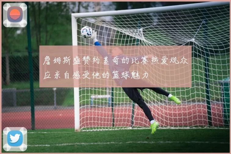 詹姆斯盛赞约基奇的比赛热爱观众应亲自感受他的篮球魅力