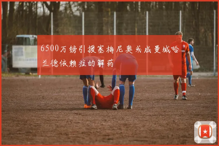 6500万镑引援塞梅尼奥或成曼城哈兰德依赖症的解药