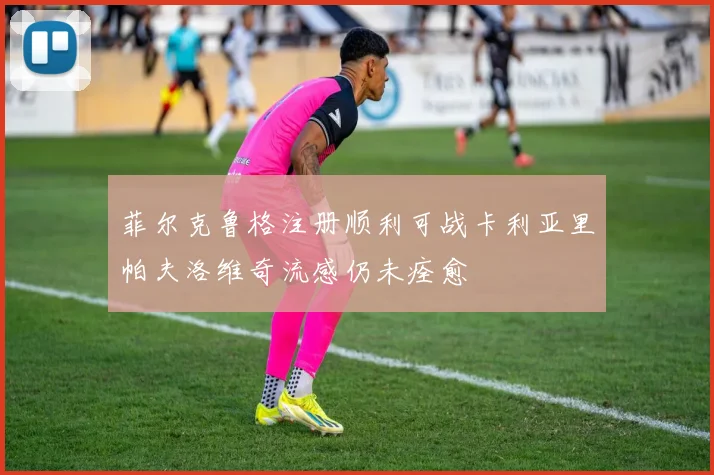 菲尔克鲁格注册顺利可战卡利亚里帕夫洛维奇流感仍未痊愈