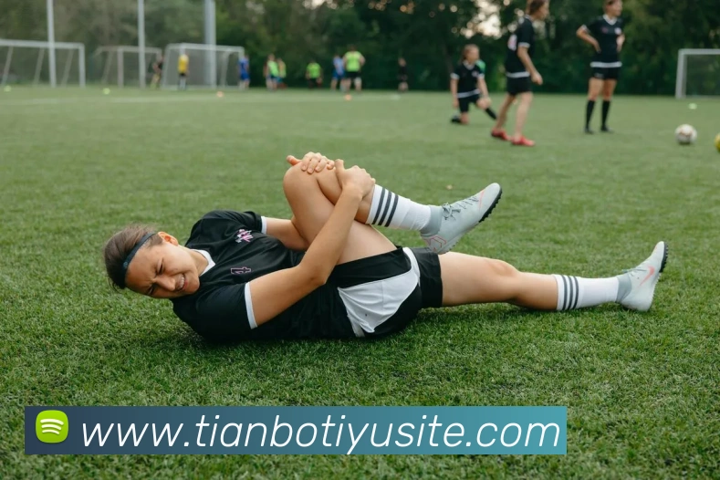 天博体育平台生态图